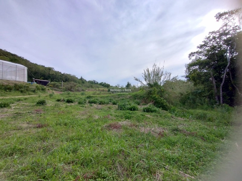 Rolante - Propriedade Rural de 12ha com estufa – Sertão do Canta Galo.: 5ª foto da galeria de imagens do imóvel