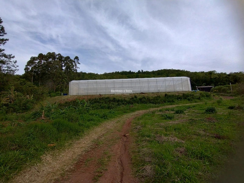 Rolante - Propriedade Rural de 12ha com estufa – Sertão do Canta Galo.: 1ª foto da galeria de imagens do imóvel