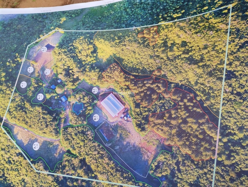 Rolante - Propriedade Rural de 12ha com estufa – Sertão do Canta Galo.: 3ª foto da galeria de imagens do imóvel