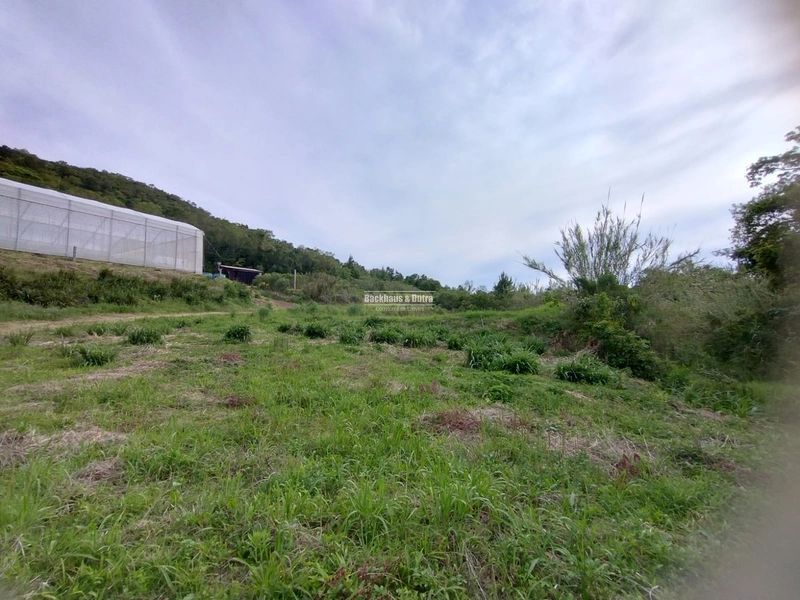 Rolante - Propriedade Rural de 12ha com estufa – Sertão do Canta Galo.: 4ª foto da galeria de imagens do imóvel