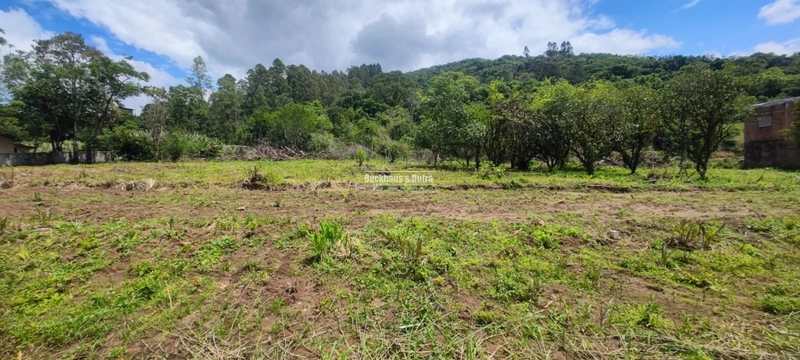 Rolante - Terrenos a venda em frente ao asfalto - Areia: 1ª foto da galeria de imagens do imóvel