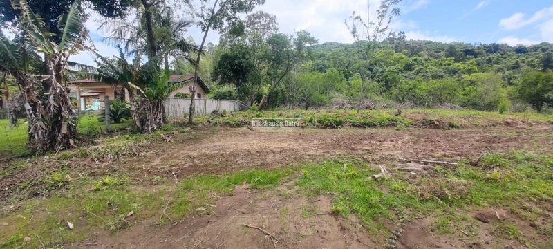 Rolante - Terrenos a venda em frente ao asfalto - Areia: 3ª foto da galeria de imagens do imóvel