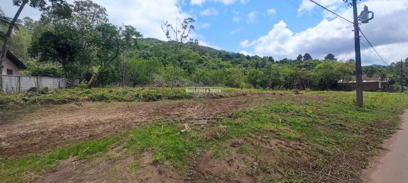 Rolante - Terrenos a venda em frente ao asfalto - Areia: 5ª foto da galeria de imagens do imóvel
