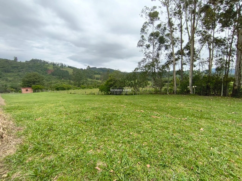 Rolante - Chácara à Venda – 3,4 Hectares – Localidade de Campinas 2: 6ª foto da galeria de imagens do imóvel