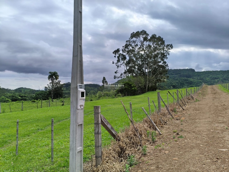 Rolante - Chácara à Venda – 3,4 Hectares – Localidade de Campinas 2: 3ª foto da galeria de imagens do imóvel