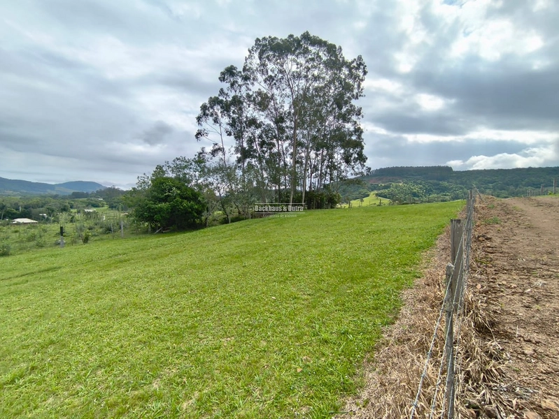 Rolante - Chácara à Venda – 3,4 Hectares – Localidade de Campinas 2: 5ª foto da galeria de imagens do imóvel
