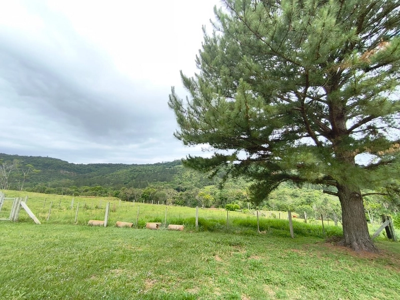 Rolante - Chácara à Venda – 3,4 Hectares – Localidade de Campinas 2: 2ª foto da galeria de imagens do imóvel