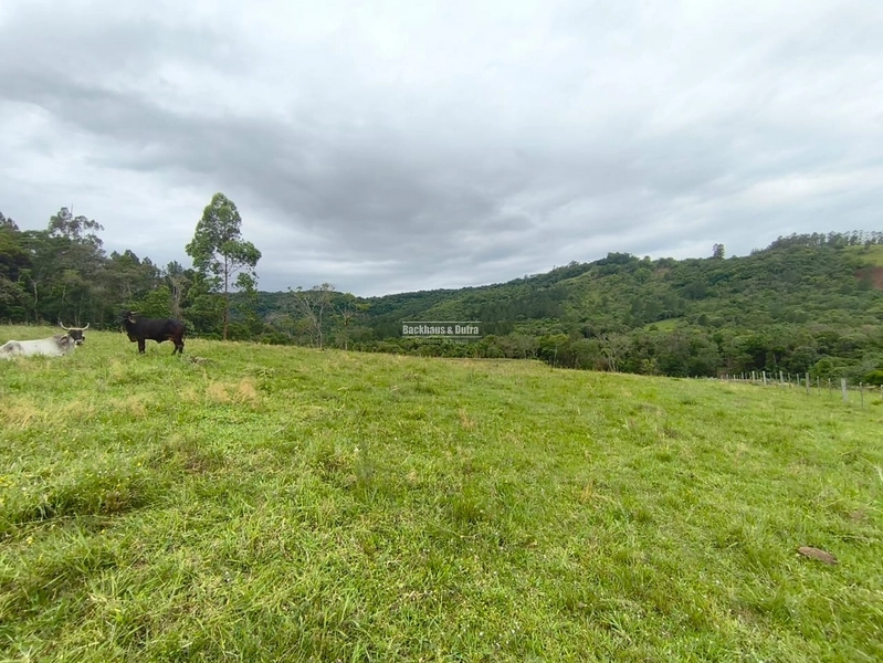 Rolante - Chácara 1,5 Hectares – Localidade de Campinas 2: 3ª foto da galeria de imagens do imóvel