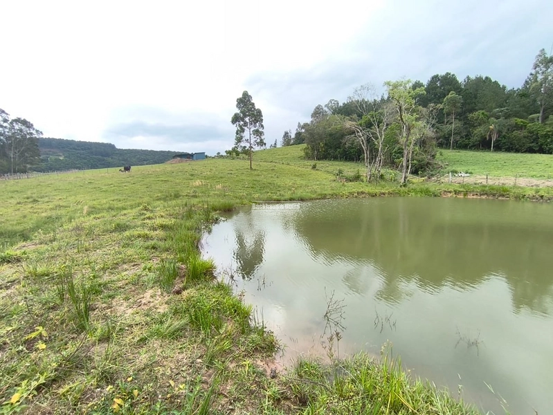 Rolante - Chácara 1,5 Hectares – Localidade de Campinas 2: 2ª foto da galeria de imagens do imóvel