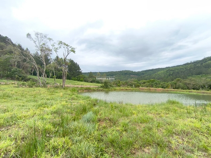 Rolante - Chácara 1,5 Hectares – Localidade de Campinas 2: 1ª foto da galeria de imagens do imóvel