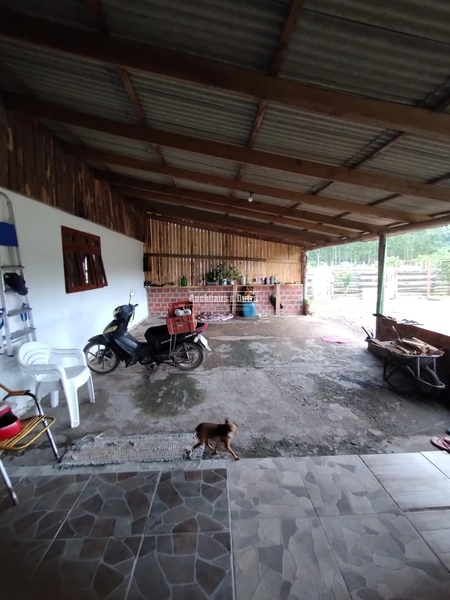 Rolante - Chácara c/ duas casas – Linha Petry: 6ª foto da galeria de imagens do imóvel