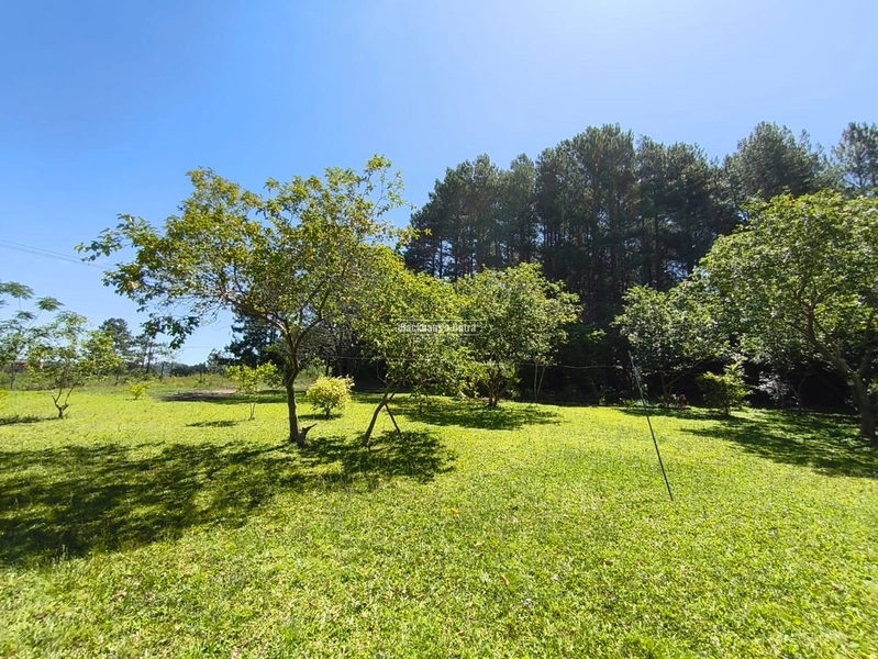 Rolante - Propriedade à venda - Margens da ERS-239.: 11ª foto da galeria de imagens do imóvel