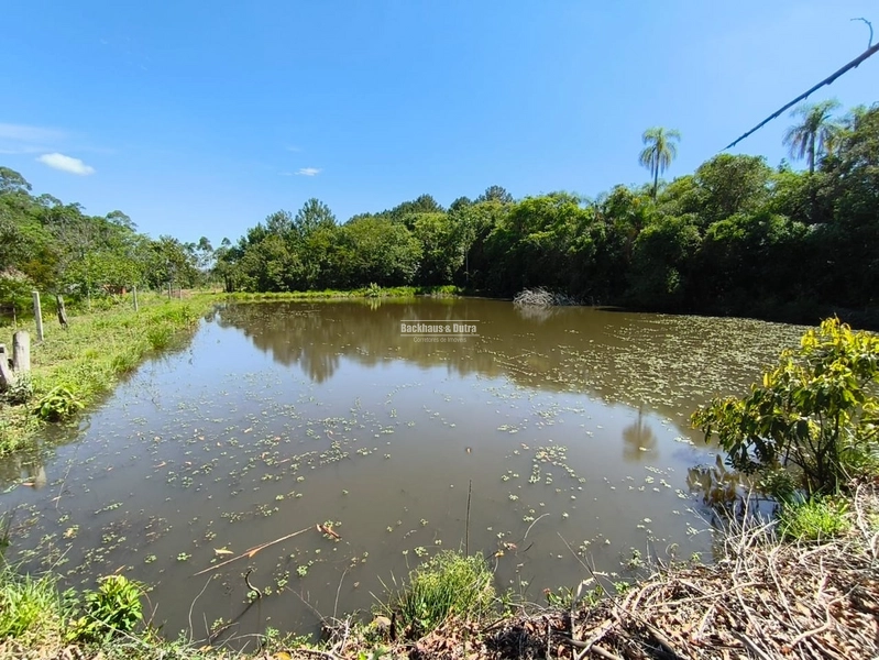 Rolante - Propriedade à venda - Margens da ERS-239.: 5ª foto da galeria de imagens do imóvel