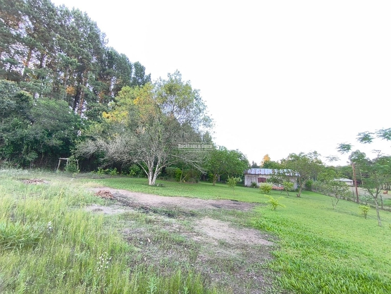 Rolante - Propriedade à venda - Margens da ERS-239.: 3ª foto da galeria de imagens do imóvel