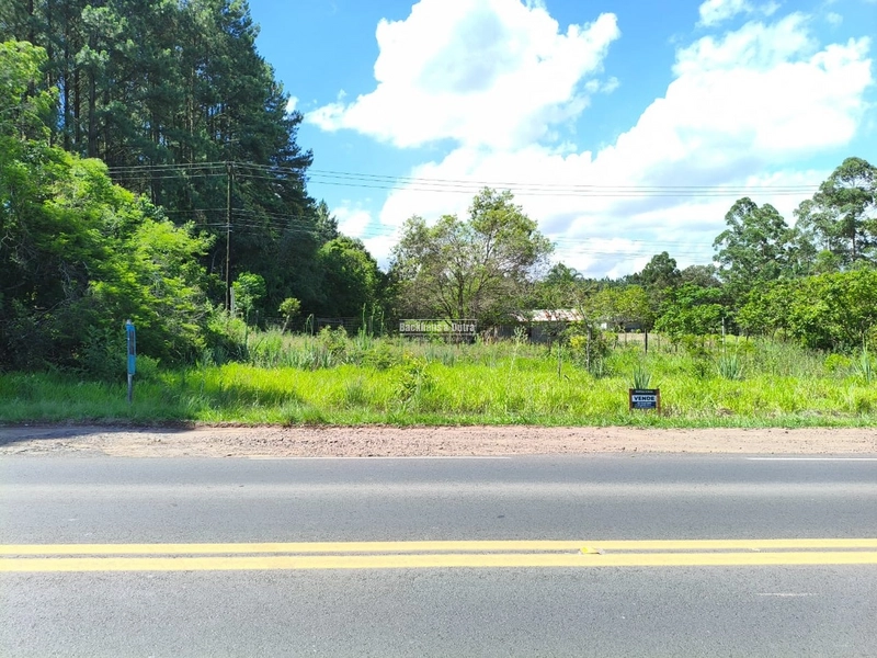 Rolante - Propriedade à venda - Margens da ERS-239.: 12ª foto da galeria de imagens do imóvel