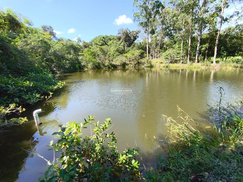 Rolante - Propriedade à venda - Margens da ERS-239.: 4ª foto da galeria de imagens do imóvel