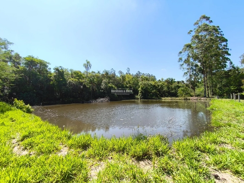 Rolante - Propriedade à venda - Margens da ERS-239.: 6ª foto da galeria de imagens do imóvel