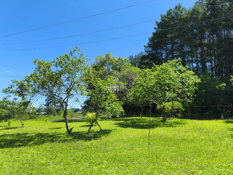 Rolante - Propriedade à venda - Margens da ERS-239.: 10ª foto da galeria de imagens do imóvel