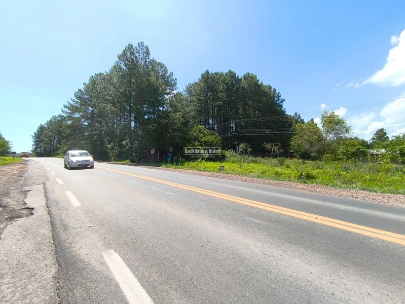 Rolante - Propriedade à venda - Margens da ERS-239.: 13ª foto da galeria de imagens do imóvel