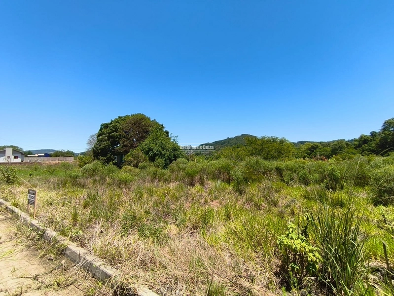 Rolante - Terreno 480m² - Bairro PICCADILLY: 4ª foto da galeria de imagens do imóvel