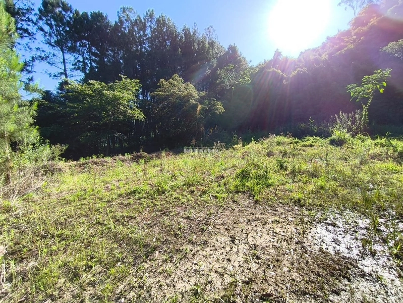Rolante - Terreno à Venda no Loteamento Esquinatti: 2ª foto da galeria de imagens do imóvel