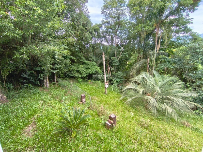 Rolante - Imóvel Rural 3 Hectares com casa - Linha Petry: 6ª foto da galeria de imagens do imóvel