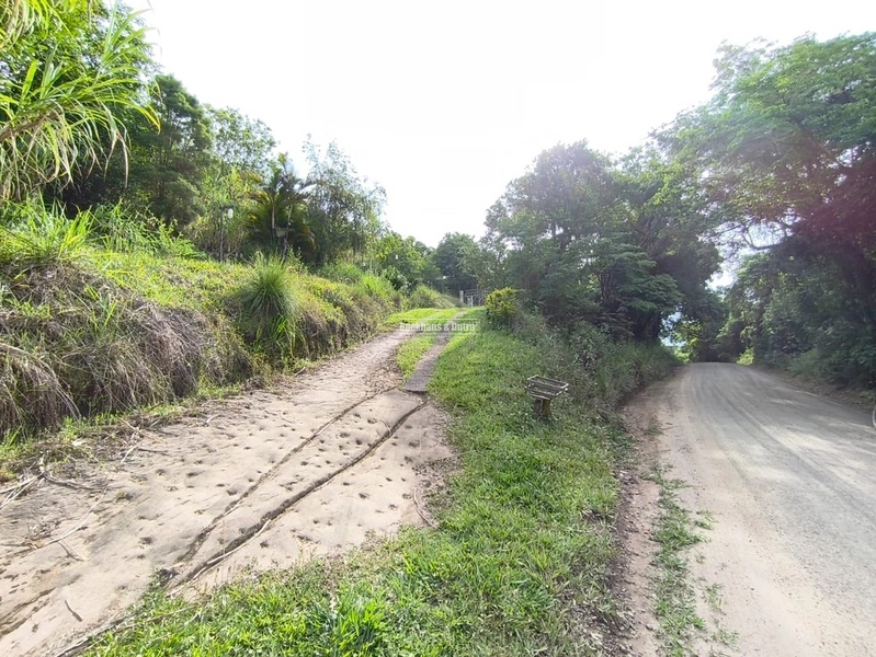 Rolante - Imóvel Rural 3 Hectares com casa - Linha Petry: 20ª foto da galeria de imagens do imóvel