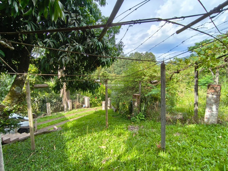 Rolante - Imóvel Rural 3 Hectares com casa - Linha Petry: 12ª foto da galeria de imagens do imóvel