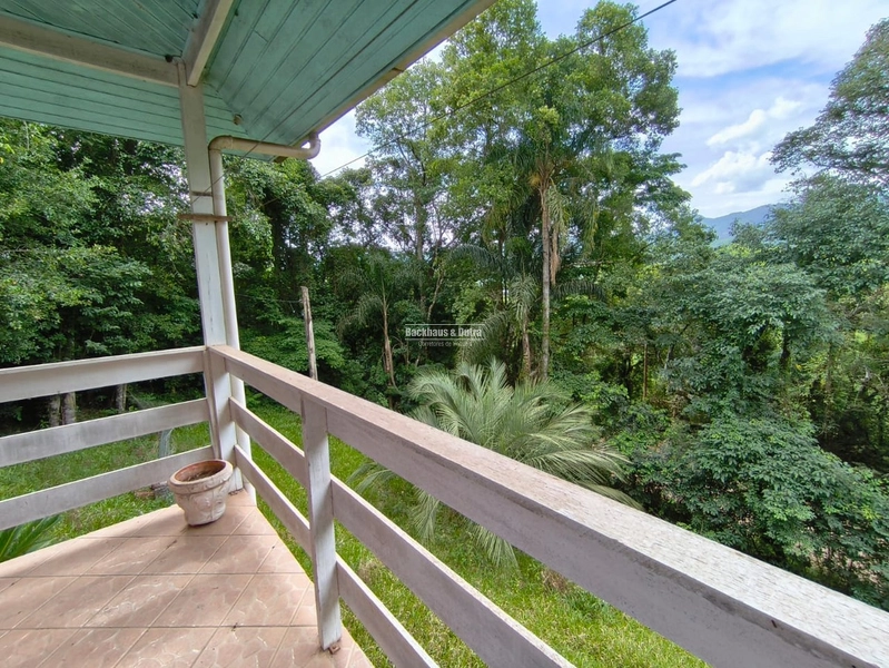 Rolante - Imóvel Rural 3 Hectares com casa - Linha Petry: 11ª foto da galeria de imagens do imóvel