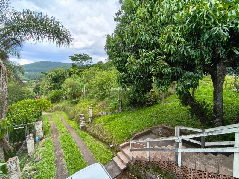 Rolante - Imóvel Rural 3 Hectares com casa - Linha Petry: 7ª foto da galeria de imagens do imóvel