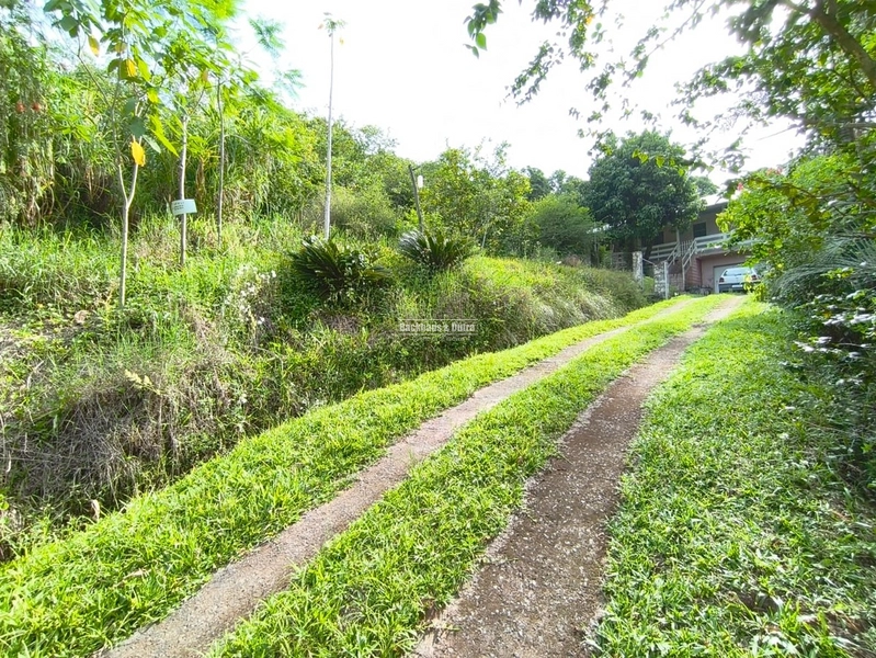 Rolante - Imóvel Rural 3 Hectares com casa - Linha Petry: 18ª foto da galeria de imagens do imóvel