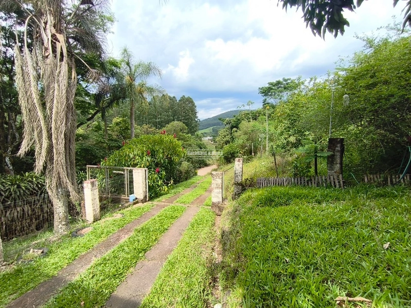 Rolante - Imóvel Rural 3 Hectares com casa - Linha Petry: 5ª foto da galeria de imagens do imóvel