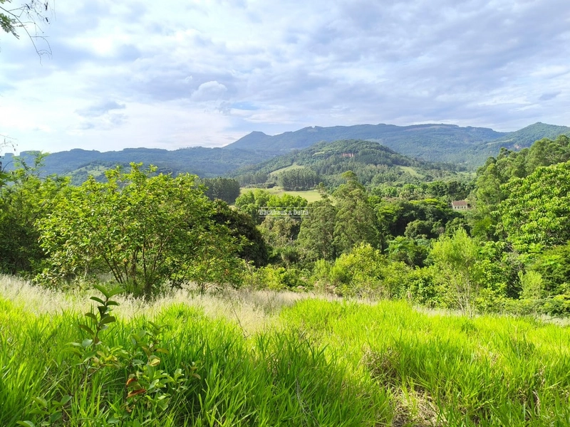 Rolante - Imóvel Rural 3 Hectares com casa - Linha Petry: 17ª foto da galeria de imagens do imóvel