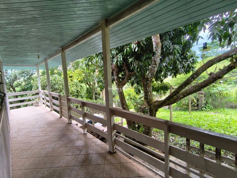 Rolante - Imóvel Rural 3 Hectares com casa - Linha Petry: 8ª foto da galeria de imagens do imóvel