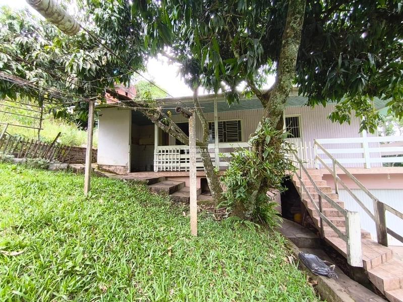 Rolante - Imóvel Rural 3 Hectares com casa - Linha Petry: 4ª foto da galeria de imagens do imóvel