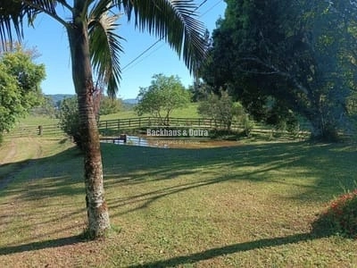 Rolante - 2,5 Hectares c/ benfeitorias - Linha Reichert: 6ª foto da galeria de imagens do imóvel