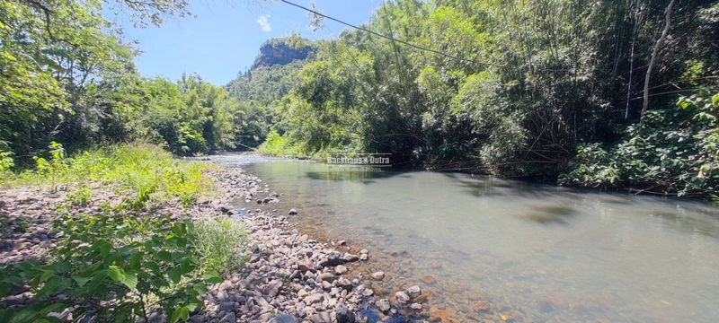 Riozinho - Chácara de 3.3 Hectares - Chuvisqueiro: 10ª foto da galeria de imagens do imóvel