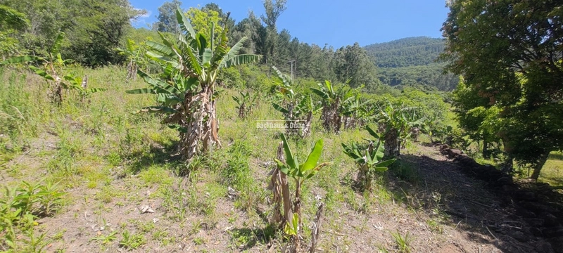 Riozinho - Chácara de 3.3 Hectares - Chuvisqueiro: 2ª foto da galeria de imagens do imóvel