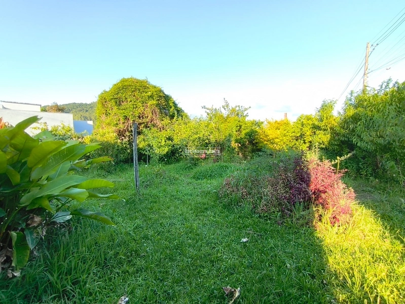 Rolante - Terreno comercial de  332 m²  - Rio Branco: 7ª foto da galeria de imagens do imóvel