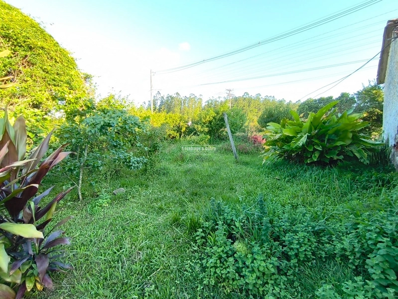 Rolante - Terreno comercial de  332 m²  - Rio Branco: 10ª foto da galeria de imagens do imóvel