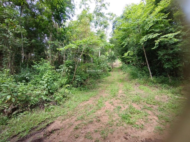 Rolante - Área rural 2 Hectares  – Morro Grande.: 2ª foto da galeria de imagens do imóvel