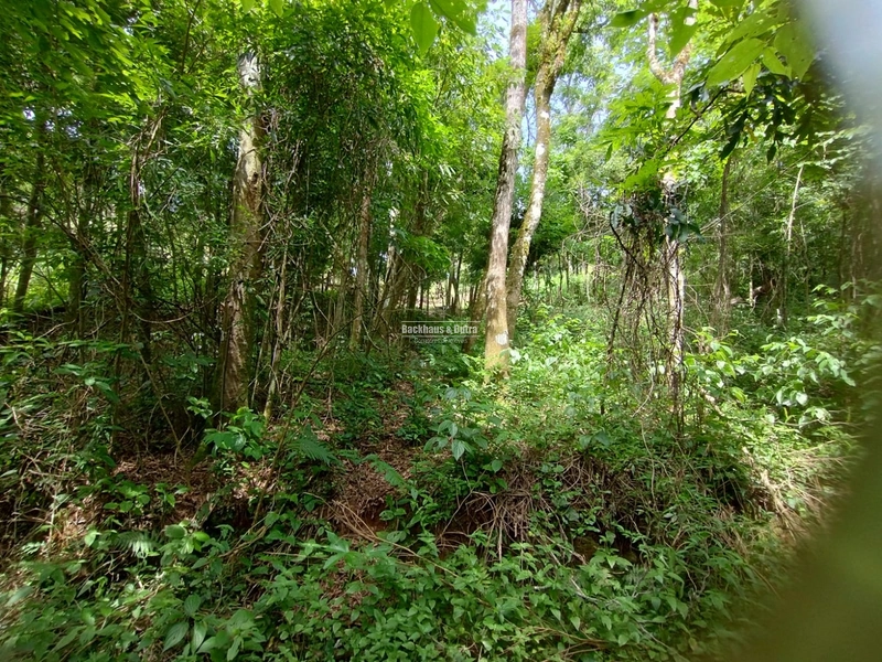 Rolante - Área rural 2 Hectares  – Morro Grande.: 5ª foto da galeria de imagens do imóvel