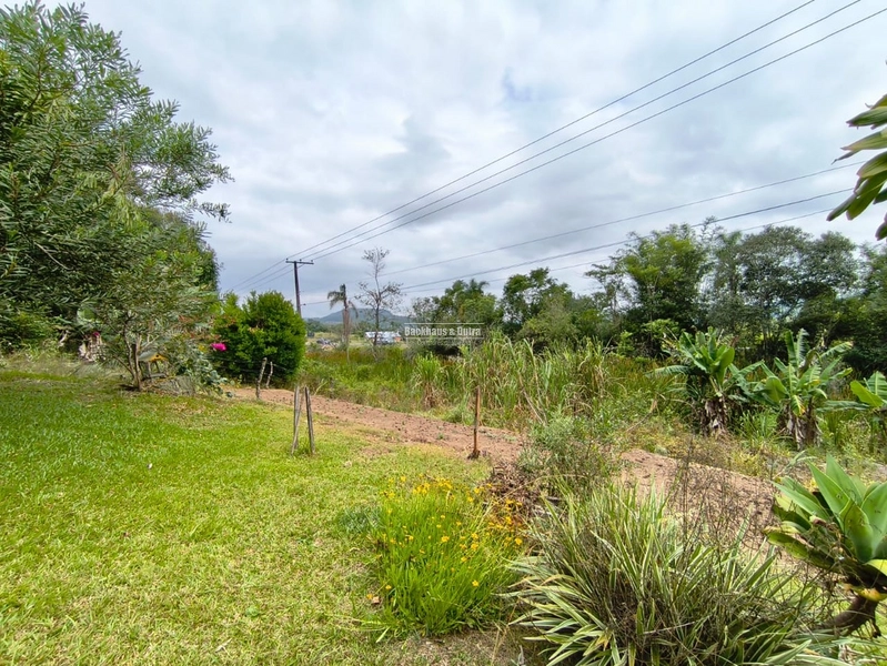 Rolante - Propriedade Rural a venda  – 2,7 Hectares na ERS-239: 17ª foto da galeria de imagens do imóvel