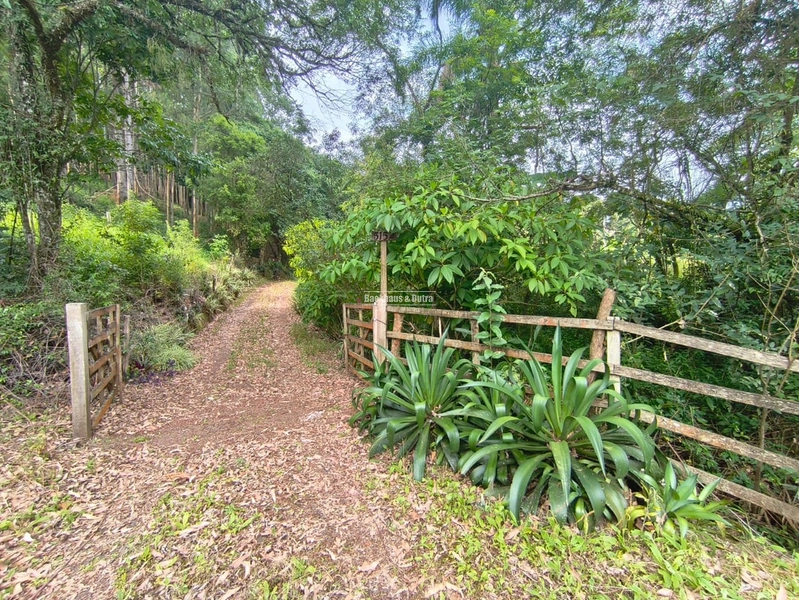Rolante - Propriedade Rural a venda  – 2,7 Hectares na ERS-239: 11ª foto da galeria de imagens do imóvel