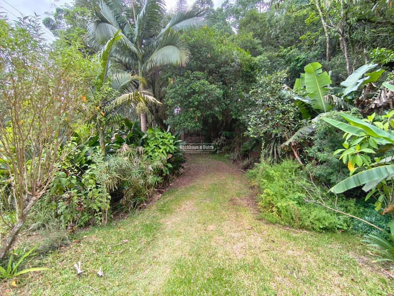 Rolante - Propriedade Rural a venda  – 2,7 Hectares na ERS-239: 14ª foto da galeria de imagens do imóvel