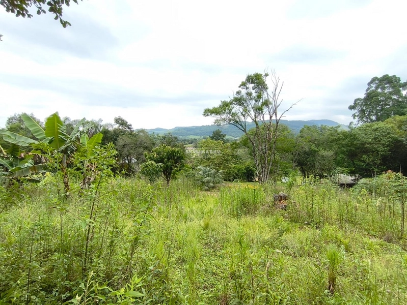 Rolante - Propriedade Rural a venda  – 2,7 Hectares na ERS-239: 23ª foto da galeria de imagens do imóvel