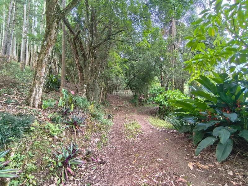 Rolante - Propriedade Rural a venda  – 2,7 Hectares na ERS-239: 12ª foto da galeria de imagens do imóvel