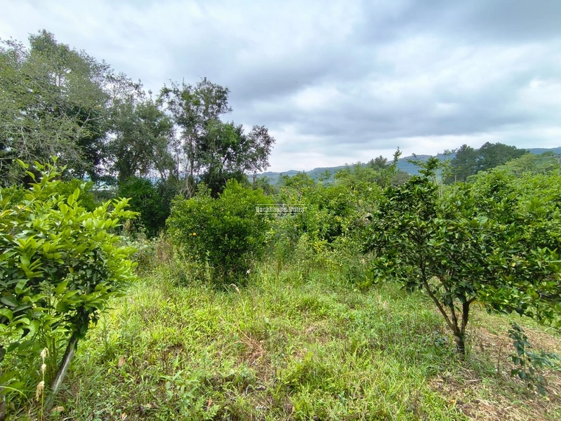 Rolante - Propriedade Rural a venda  – 2,7 Hectares na ERS-239: 20ª foto da galeria de imagens do imóvel