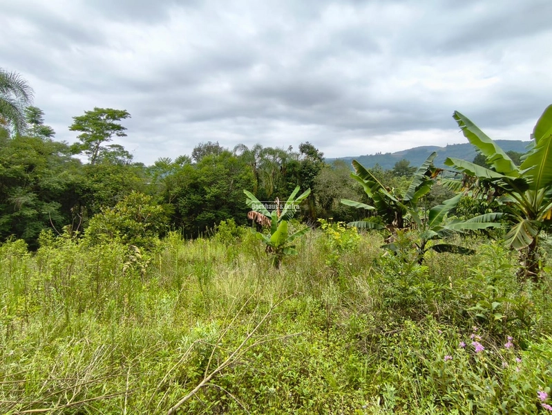 Rolante - Propriedade Rural a venda  – 2,7 Hectares na ERS-239: 19ª foto da galeria de imagens do imóvel
