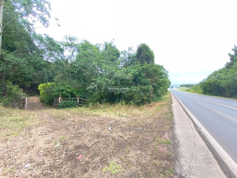 Rolante - Propriedade Rural a venda  – 2,7 Hectares na ERS-239: 9ª foto da galeria de imagens do imóvel
